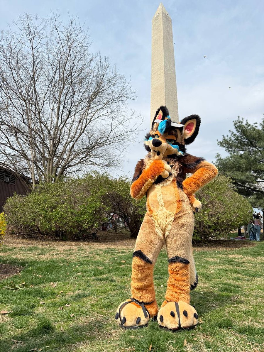 Dexter/Echo π ANE, TFF, FWA (@dexter_dior) on Twitter photo Yeah, I guess Washington Monumentβs cool, but have you seen me? π #FursuitFriday
πΈ: <a href="/JamsTheCat/">Jams π Megaplex</a>
πͺ‘: <a href="/WildDogWorks/">WildDogWorks.com on π¦</a> Yeah, I guess Washington Monumentβs cool, but have you seen me? π #FursuitFriday
πΈ: <a href="/JamsTheCat/">Jams π Megaplex</a>
πͺ‘: <a href="/WildDogWorks/">WildDogWorks.com on π¦</a>