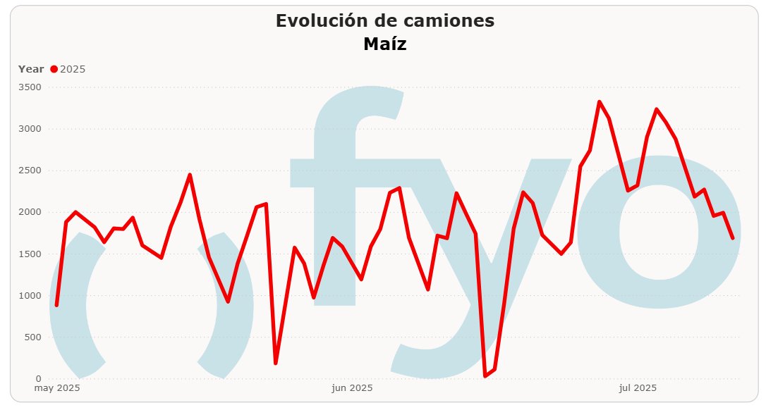 🚚🌽 Aunque la cosecha avanza firme, el maíz no llega a los puertos: esta mañana entraron apenas 1.600 camiones de #maíz, el mínimo en tres semanas.