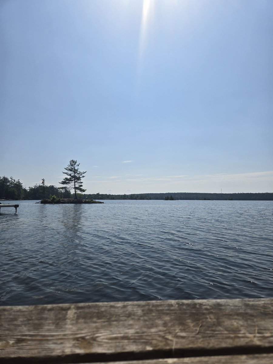 But do not ask the price I pay
I must live with my quiet rage
Tame the ghosts in my head
That run wild and wish me dead