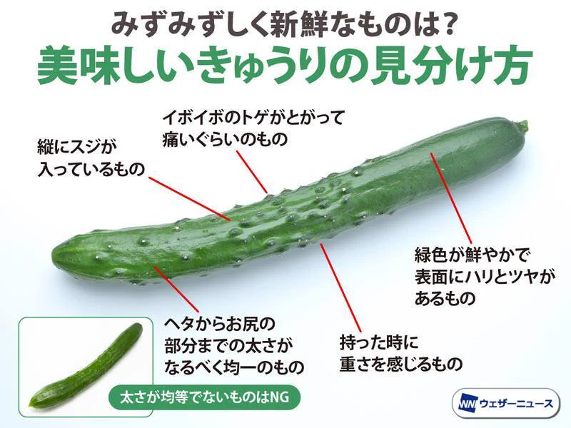 ウェザーニュース on X: 