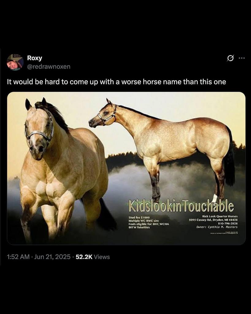 Akimoto8991's tweet photo. @vanellabeam Please kind sire/madam do this cuz it will be ultra funny https://t.co/5Xb8VTgA6T