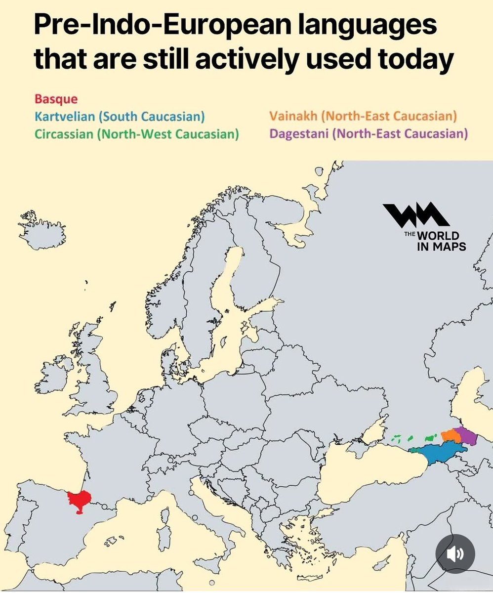 "Euskararen benetazko misterioa ez da bere jatorria, iraupena baizik. Eta iraupenez ari garenean, ezinbestean, erabileraz ari gara, izan ere, erabilerarik gabe, ez baitago iraupenik".
Koldo Mitxelena