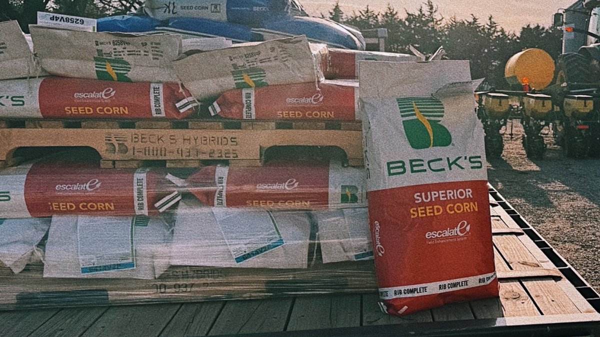 We’re not just a seed dealer. We’re your neighbors — with the full power of Beck’s behind us.

From agronomic tools to real-world product data, Beck’s gives us the support to serve you better.

There’s no substitute for someone who actually walks your fields.