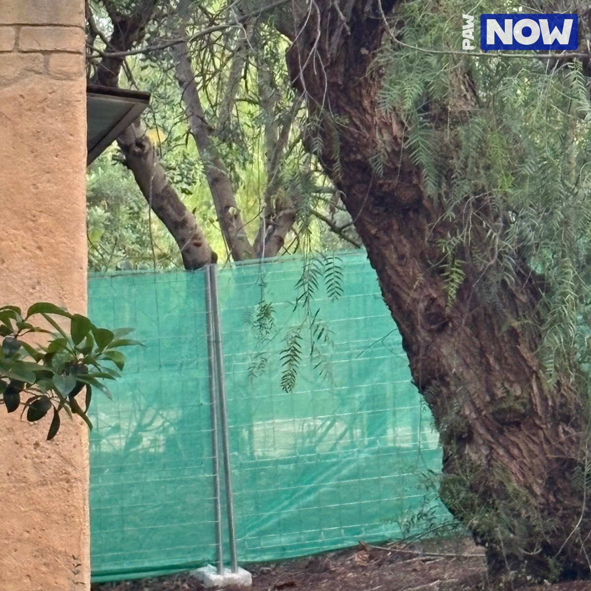 🚧 ¡Obras! Se está aliberando una gran extensión de terreno en todo México. Además estas obras cuentan con la presencia de 3 grúas aproximadamente.
¡Abro hilo! 👀

❗️Este hilo se ha realizado en cumplimiento con las Normas de Funcionamiento de PortAventura Park.