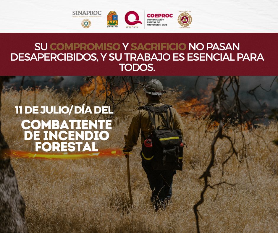 🔥🦺En la Coordinación Estatal de Protección Civil Quintana Roo queremos reconocer y agradecer el trabajo valiente y dedicado de los combatientes forestales. Su labor es fundamental para proteger nuestras selvas y ecosistemas de los incendios y otros desastres.