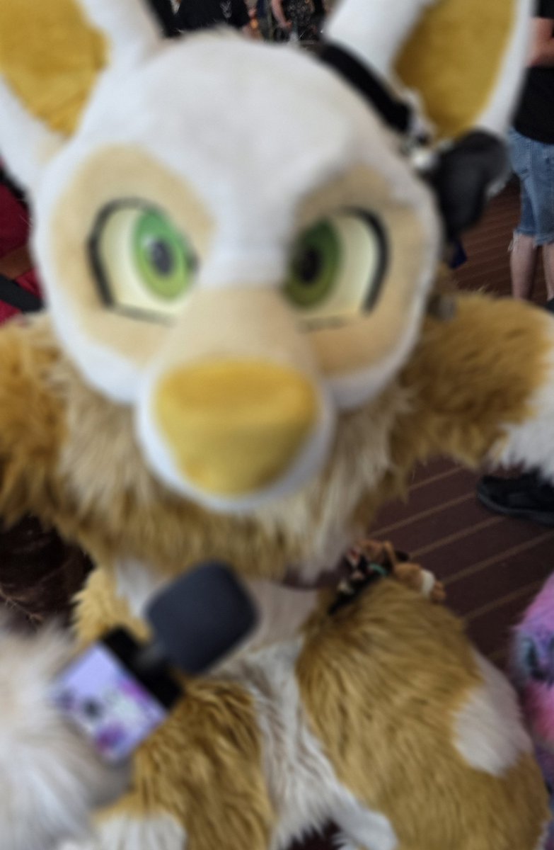 Hey! It's me and <a href="/Astra_The_Kitty/">Astra</a> for your #FursuitsFriday and definitely not me stealing the mic again 🤭🤭