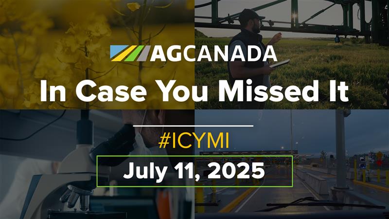 Using gene editing to develop a higher-yielding, more robust canola; FCC unveils an AI extension advisor; and delaying trade negotiations with the U.S. may help Canada get a better deal. It's your national agriculture news recap for July 11. #CndAg #ICYMI
agcanada.com/video/agcanada…