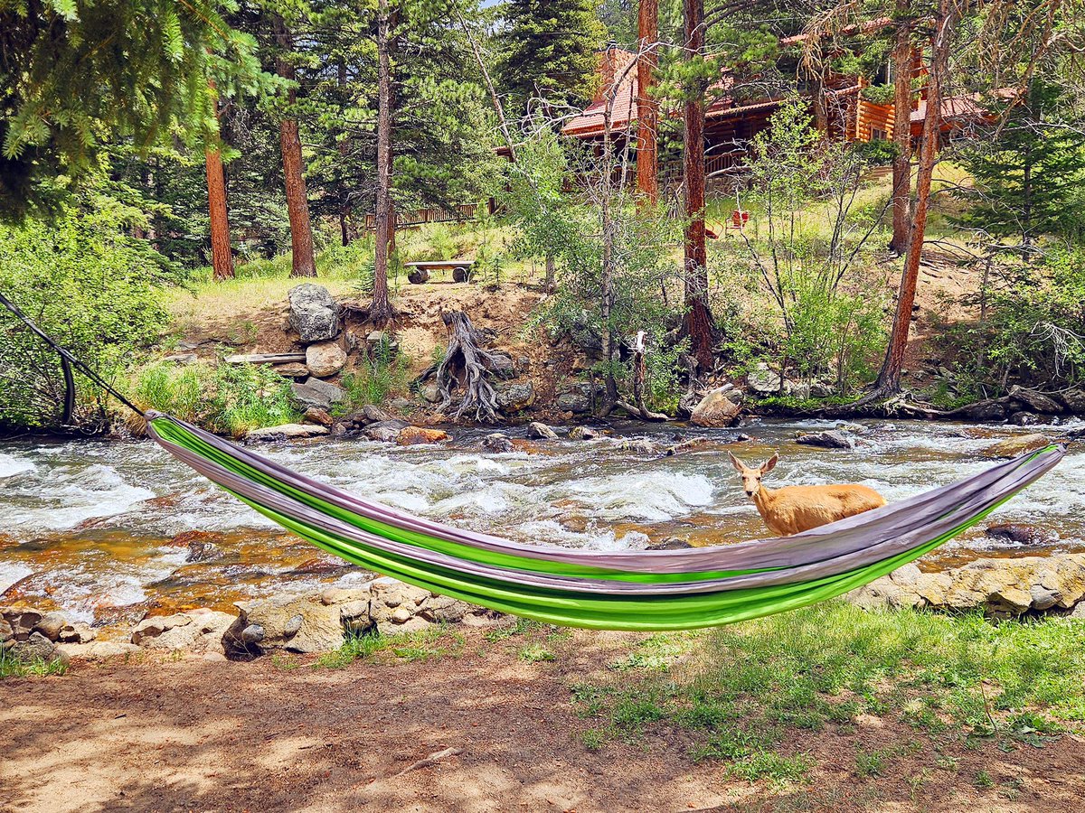 WelcomeEstes's tweet photo. Even the deer love our hammocks. Come and enjoy one yourself! https://t.co/gIRSVw9Ckq