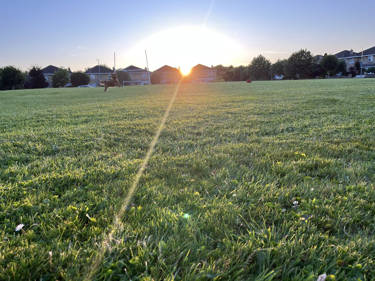 BrianHayes757's tweet image. 🌅 ☘️