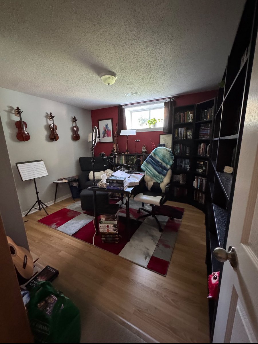 KaysHiddenShelf's tweet image. Changes are happening behind the scenes! Rearranging a recording space is daunting with how much time it takes to figure out the best lighting and camera angles. BUT it’s long overdue.
If you’ve got any tips on lighting and camera angles, I’m all ears!
Before & after pics
