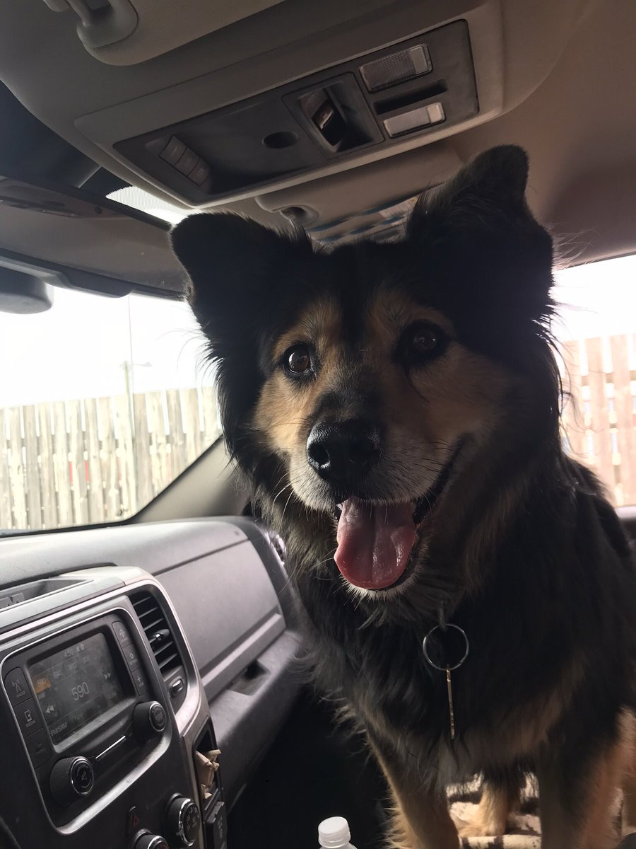 I got the chicken 🐔 eyes 👀 and you got killer thighs lady