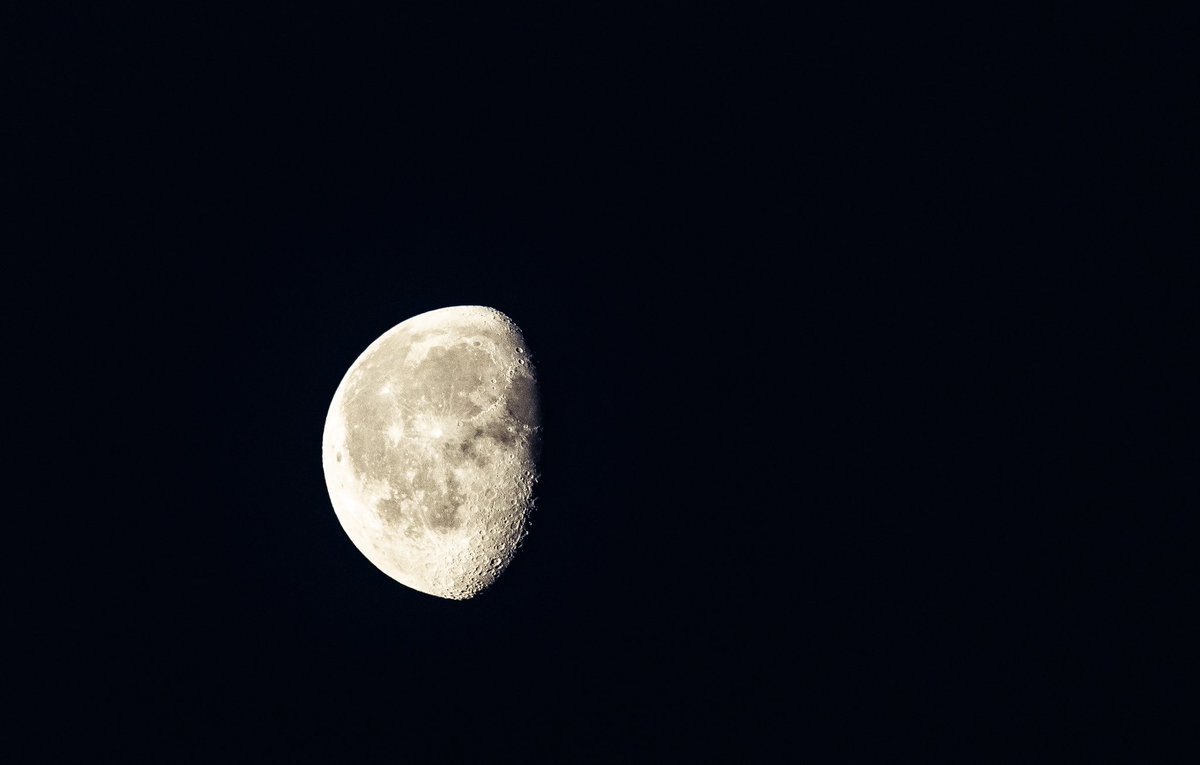 JC Collins tweet media