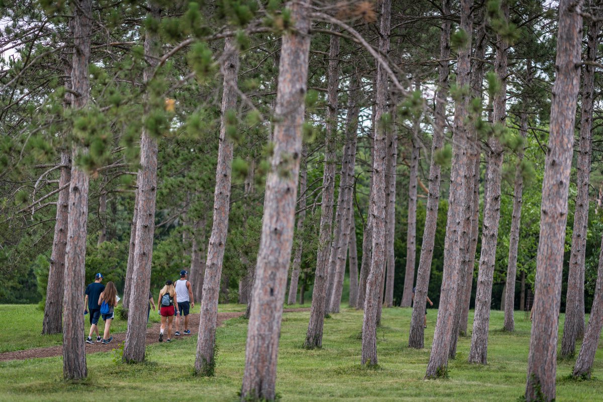 School might be out for summer, but Teacher Tuesdays are back in session 🍎!

🎒 Teacher Tuesdays run through September 30, providing free admission to current educators to explore the Arboretum and learn about its many educational resources. Classroom teachers, homeschool