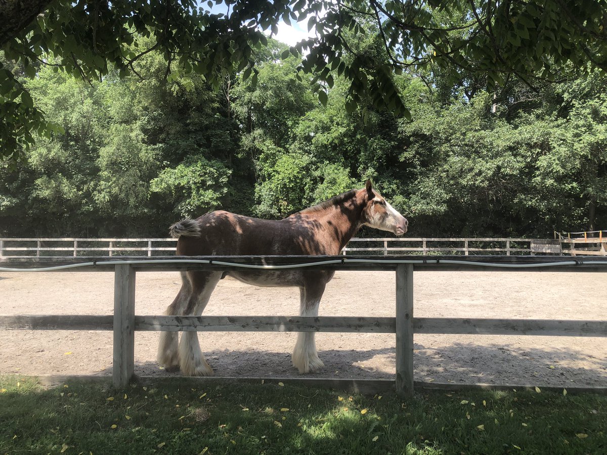 ʅᎥᥣყ (@tuchscreen4) on Twitter photo 