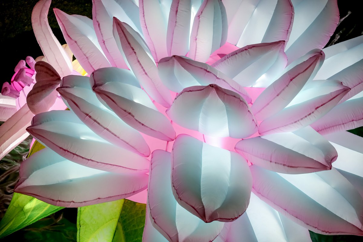 Milwaukee Downtown tweet media