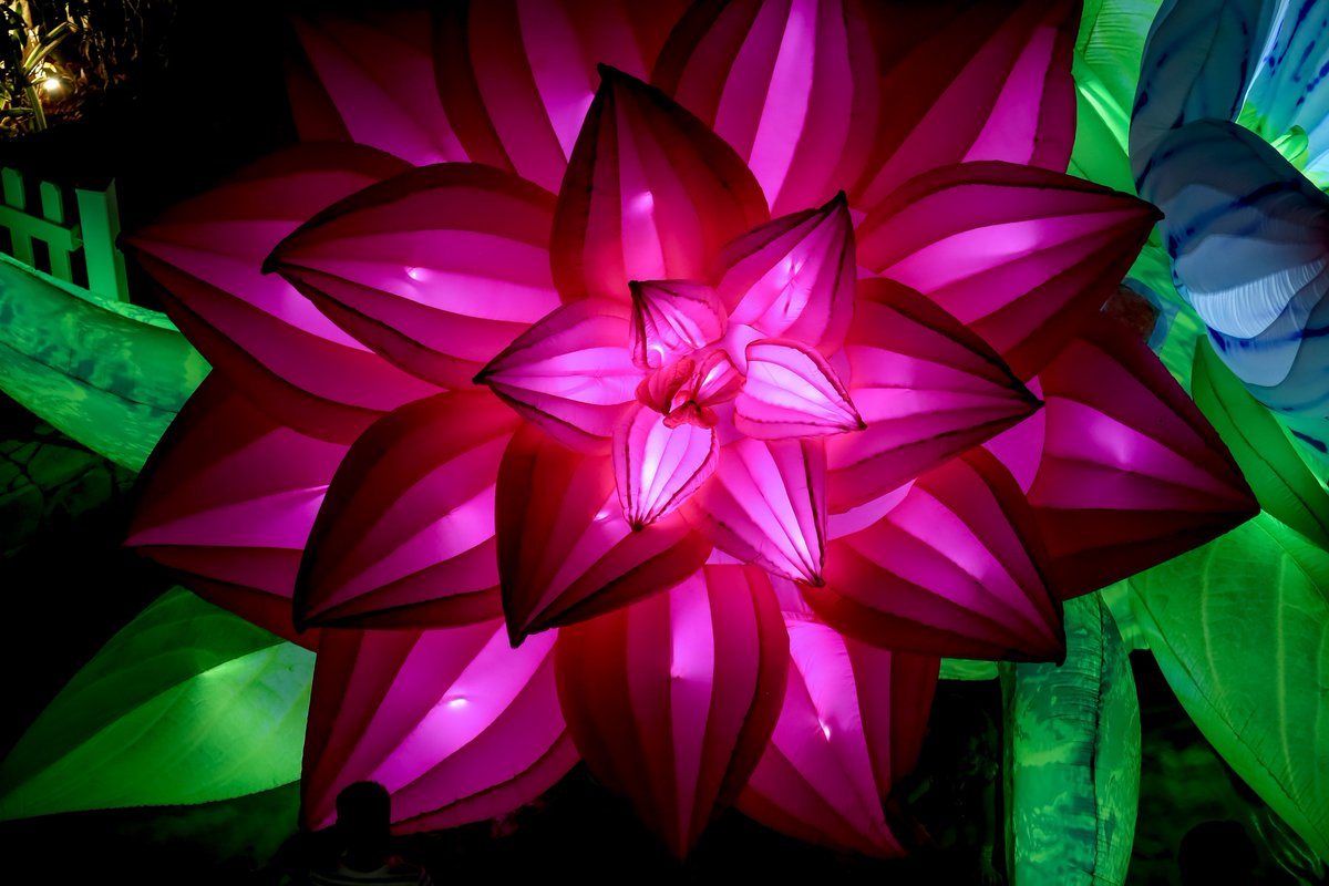 Milwaukee Downtown tweet media