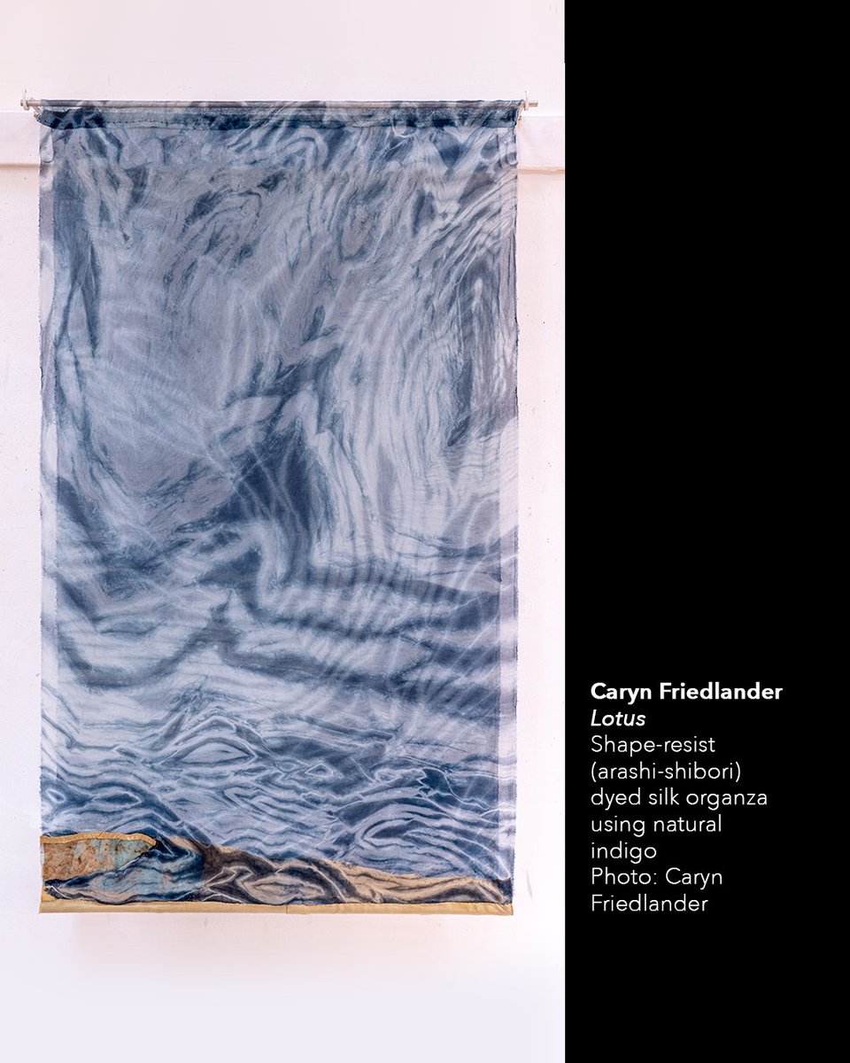 Congratulations to 2025 SOLA Award recipient, Caryn Friedlander!

Learn more: artisttrust.org/2025-tha-sola-…