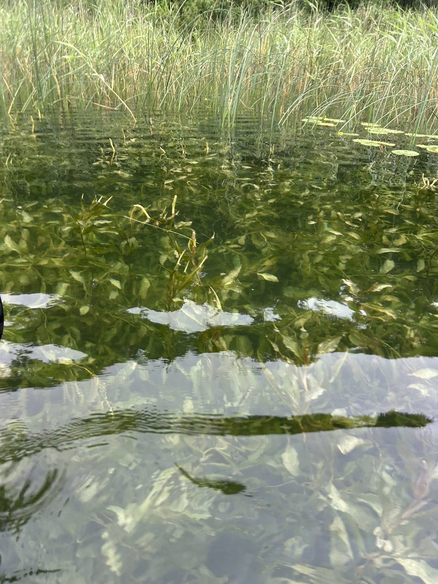Beauty of Limajno Lake 🤩