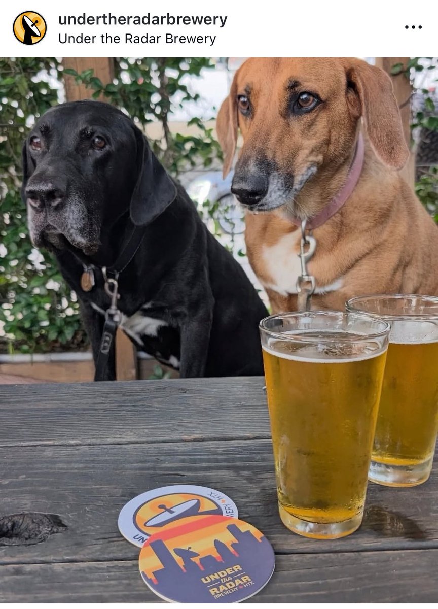 Ruff week y’all, but the weekend starts now!