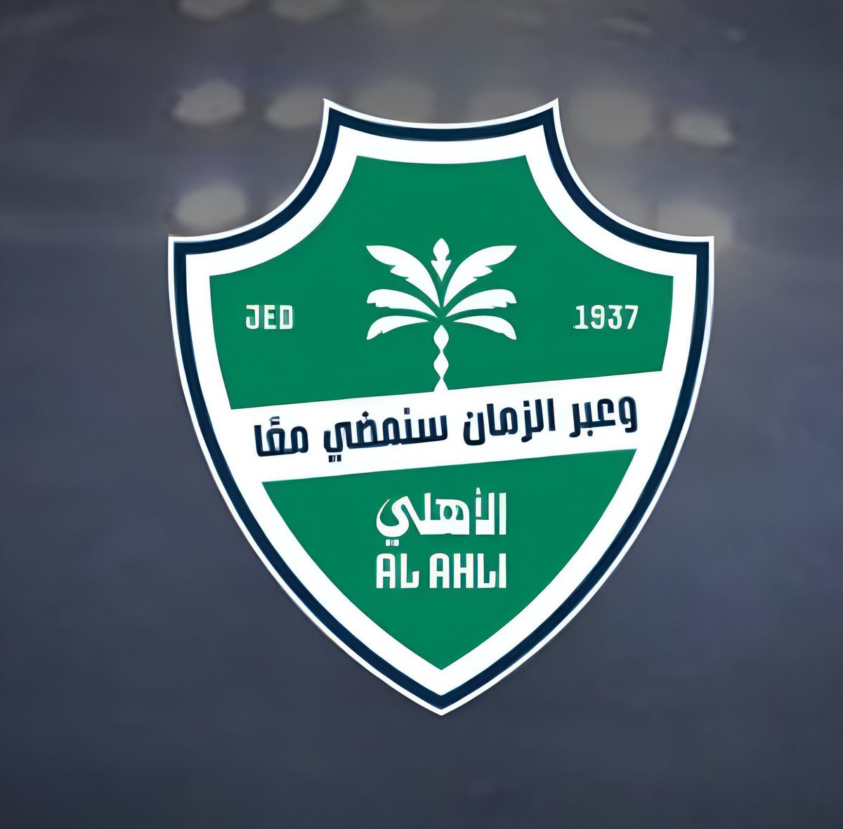 وليد سعيد tweet media