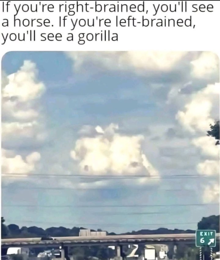 travelingflying's tweet image. 