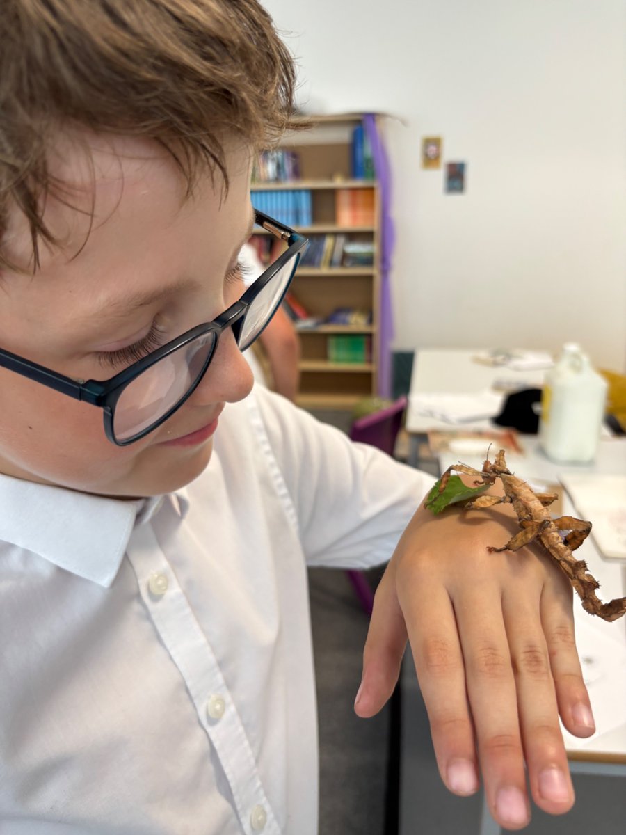 NerrolsHazel (@nerrolshazel) on Twitter photo 