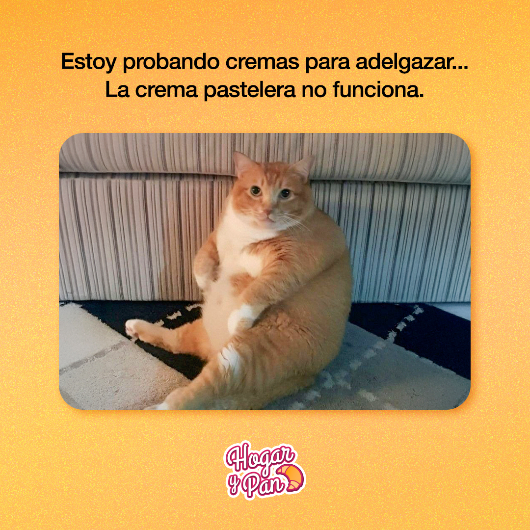 Les aviso que tampoco la crema batida funciona, jajaja. Un poco de humor para relajarnos. 

tradipan.com.mx