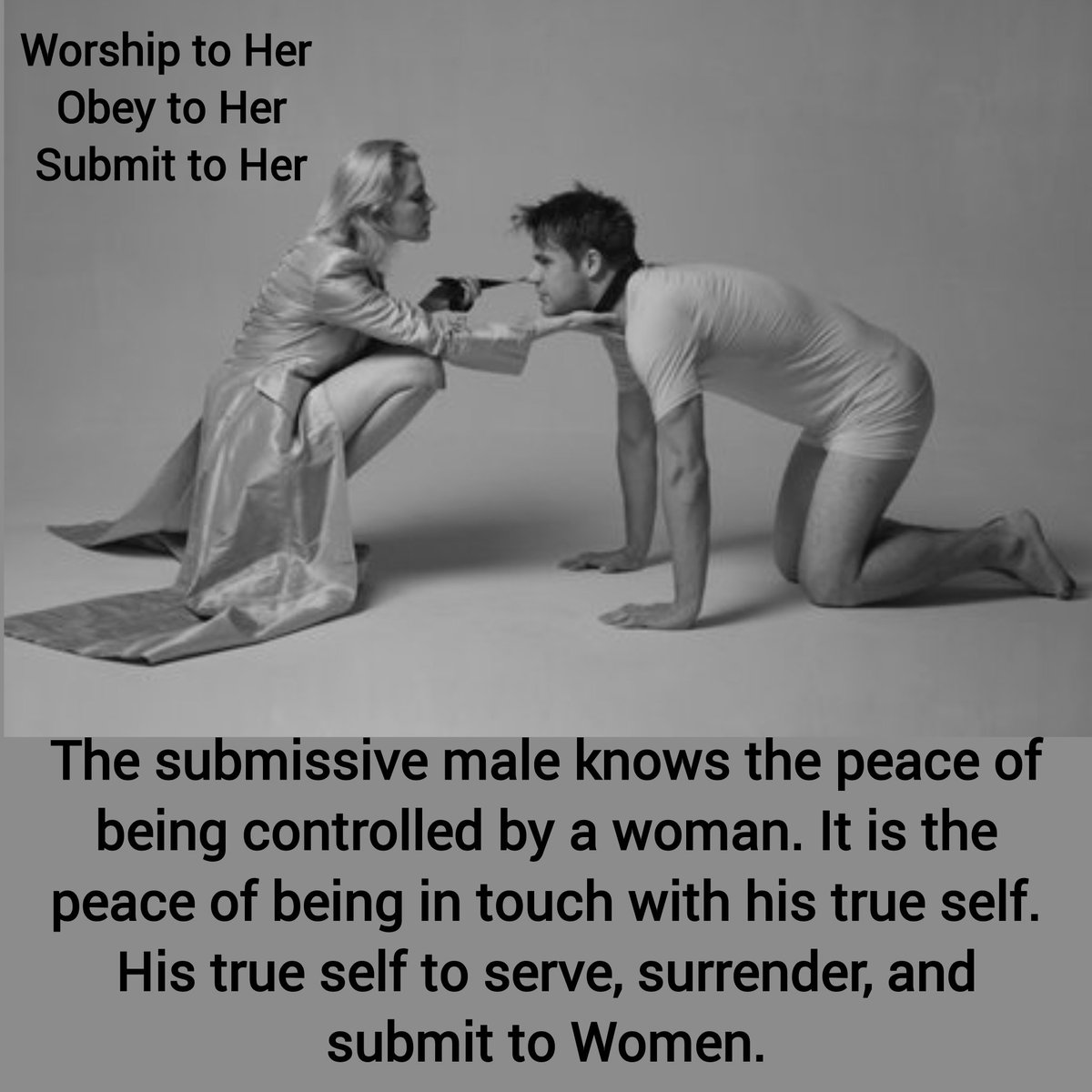 betamaleguide's tweet photo. It is natural to serve, submit, and surrender to Women. We obey women. 🥰♥️ https://t.co/HdHuhyubPK