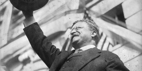 "Patriotism means to stand by the country. It does not mean to stand by the president or any other public official."

--Theodore Roosevelt