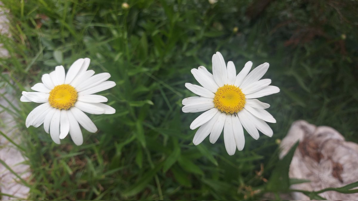 kinerf (@kinerf1) on Twitter photo 