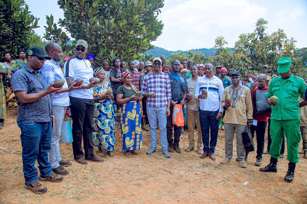 KayonzaDistrict's tweet photo. Guverineri wa @RwandaEast @PudenceR ari kumwe na Meya @BoscoNyemazi, inzego z’umutekano, abakozi ba #KIIWP n’abandi bayobozi basuye icyanya cy’imbuto gihuriweho n’Imirenge ya Kabarondo na Murama bareba uko ibiti by'imbuto byitabwaho n'uko umusaruro wabyo ugezwa ku isoko. https://t.co/ewxkSC7ndZ