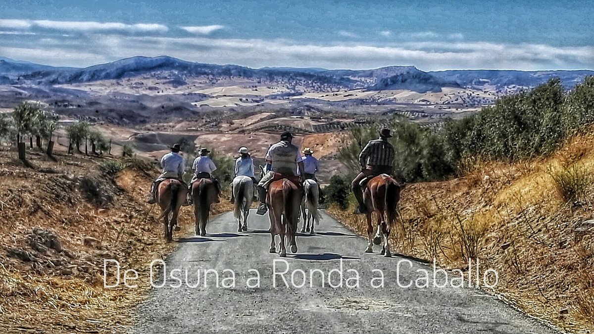 Hoy es el #DiaMundialDelCaballo nuestro compañero de aventuras #deosunaarondaacaballo