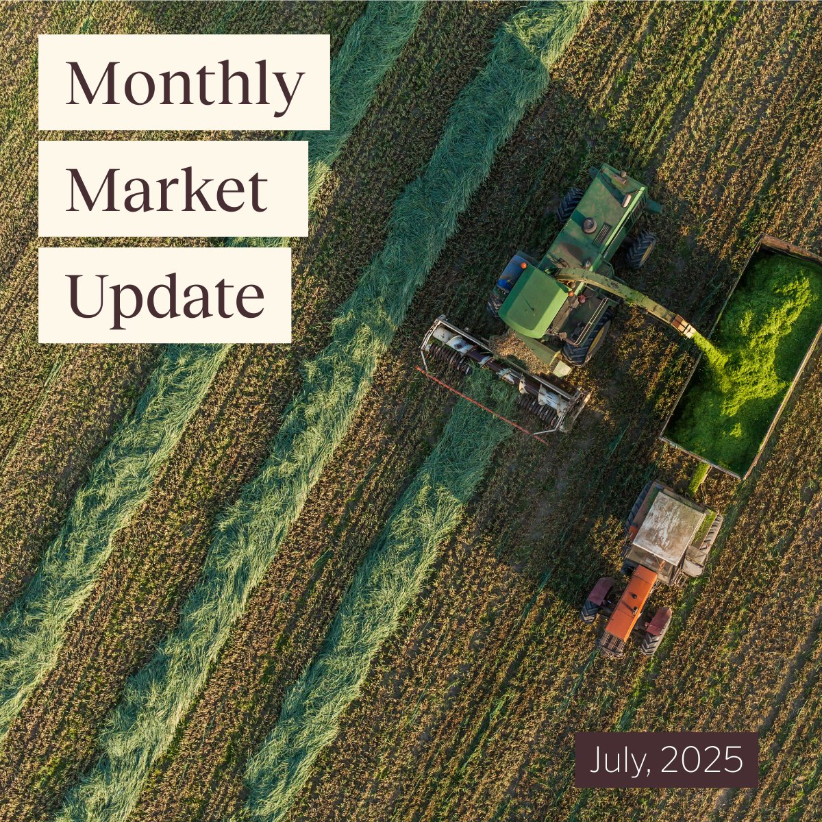 📉 Producer sentiment dips.
📈 Volatility in oil markets. 
📊 Fed rate cuts on the horizon?

AgWest’s July Market Update breaks it down - so you can focus on what matters most: running your operation with clarity and confidence.

agwestfc.com/education-and-…