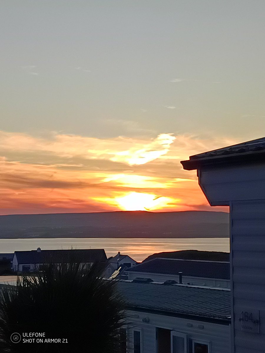 Mark Mul tweet media