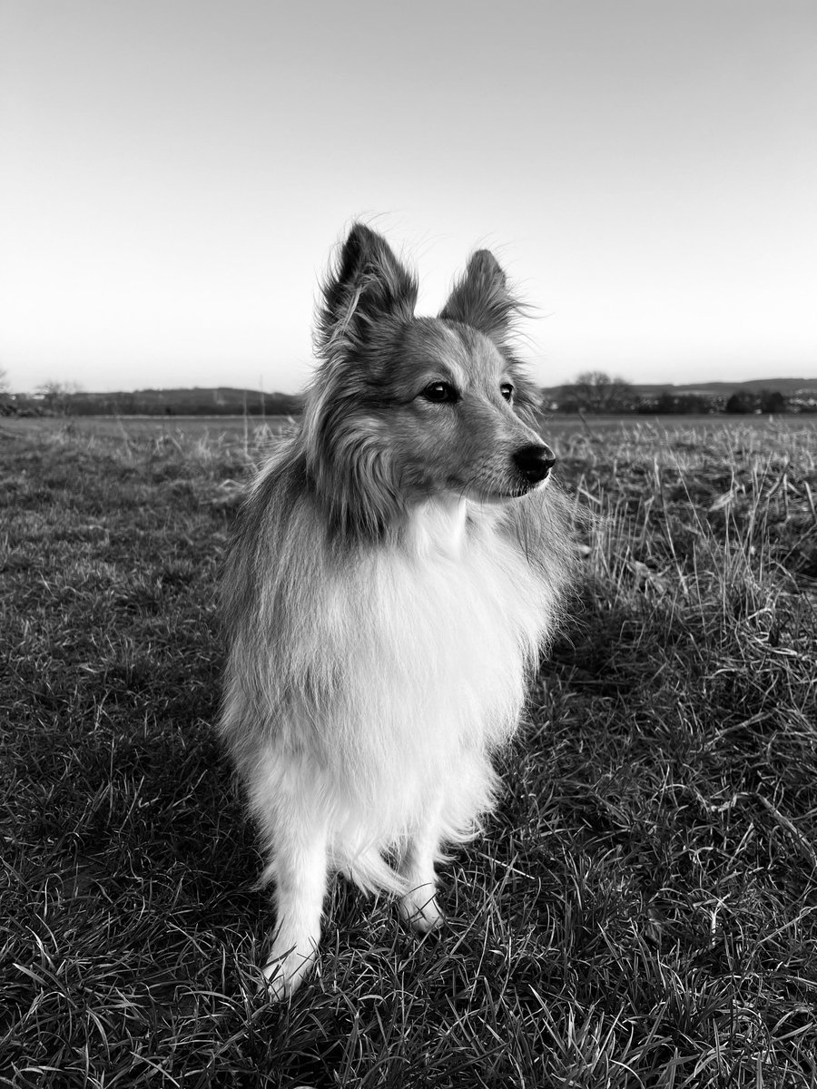 Constantin tweet media