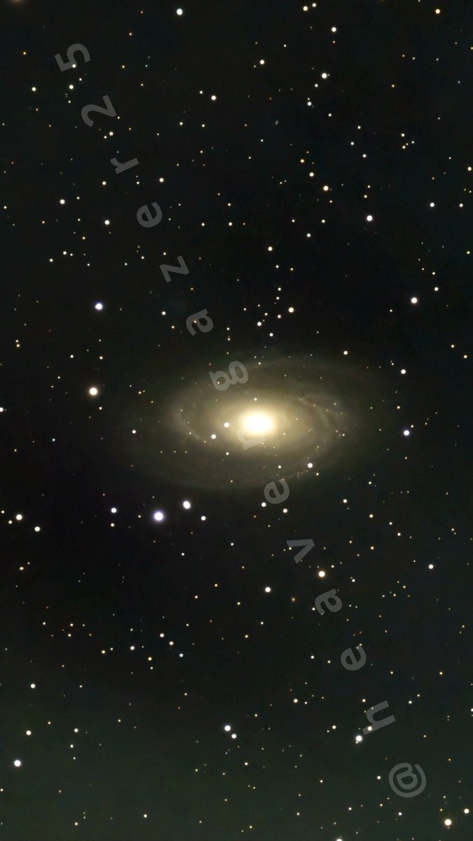 heavengazer25's tweet photo. A stunning 210-minute exposure of the Messier 81 galaxy, captured by the Seestar S50, showcasing its spiral structure and luminous core amidst a sea of stars. #Astronomy #Messier81 #SeestarS50 #Galaxy #SpacePhotography #Astrophotography #Cosmos
Messier 81 (M81), also known as Bode’s Galaxy, is a grand design spiral galaxy located in the constellation Ursa Major. Approximately 11.8 million light-years from Earth, it is one of the brightest galaxies visible from the Northern Hemisphere. M81 features well-defined spiral arms rich with stars, gas, and dust, and it is a prominent member of the M81 Group. Its interaction with nearby galaxy M82 has influenced its structure and star-forming regions. Discovered by Johann Elert Bode in 1774, it remains a key subject for astronomical study.