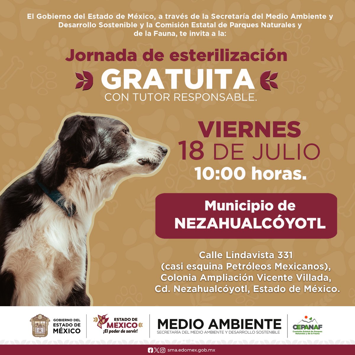 🐶✨ ¡La salud y el bienestar de los seres sintientes es una prioridad en el Estado de México!

Te invitamos a la Jornada de Esterilización Gratuita con Tutor Responsable en Nezahualcóyotl.
