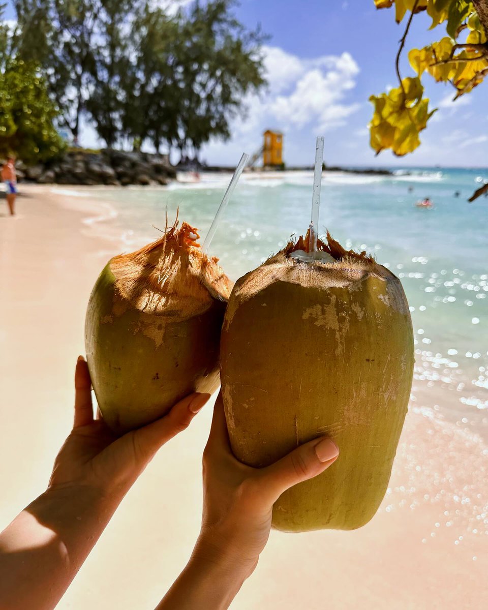 🥥 Sunshine, sea breeze, and a cold coconut in hand, this is Barbados beach life at its best.🇧🇧🌴🌊

📸: @artweardd, thanks for sharing!

#VisitBarbados #LoveBarbados #MyBarbados