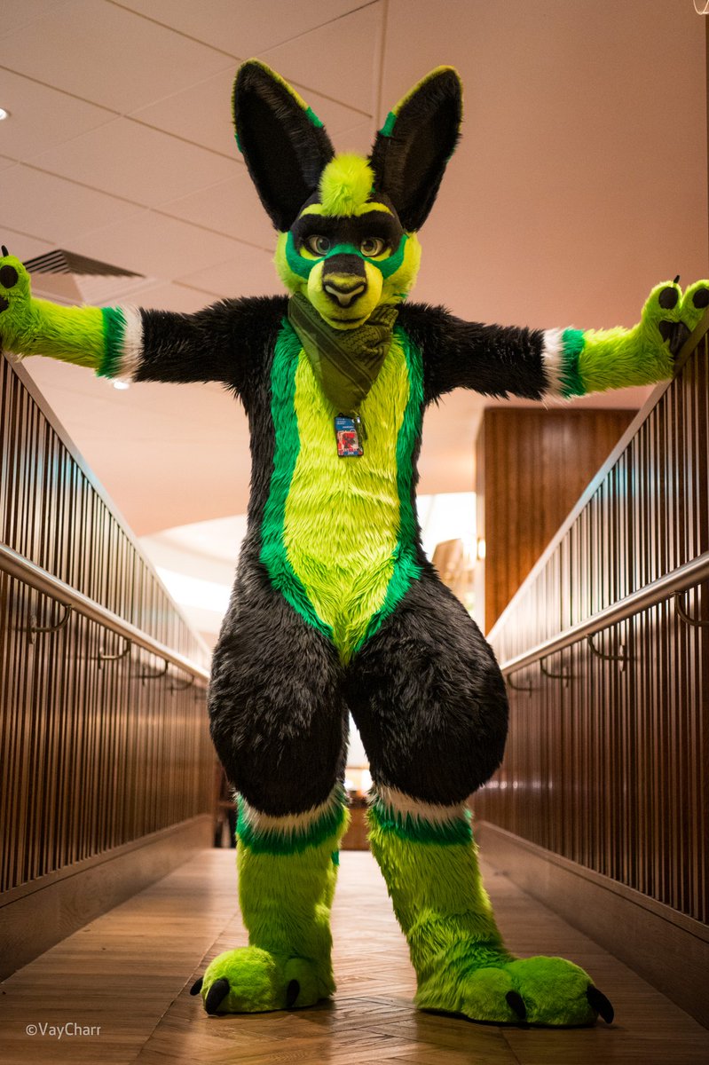 A Roo blocks your path, what do you do?
#FursuitFriday 

📸:<a href="/VayCharr/">Vay ➡️ CFZ</a>