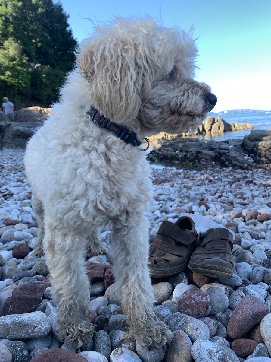 Took this chap out on a mini holiday ⛱️