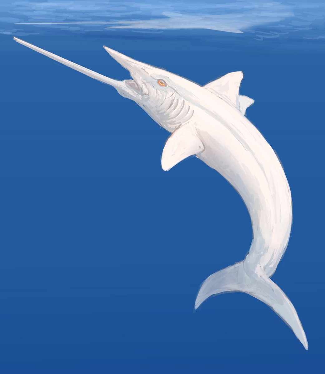 Ornithoprion (for real now)