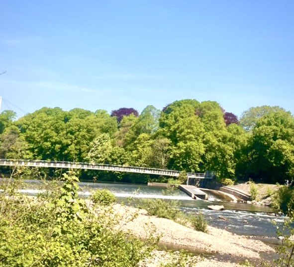 Sue_Charles's tweet image. 🏴 Today is not just Wales’ hottest day of the year… it’s our hottest July day for three years.
📈 The top temperature was 32.4C in Bute Park, Cardiff. And it felt like it, cycling through earlier!