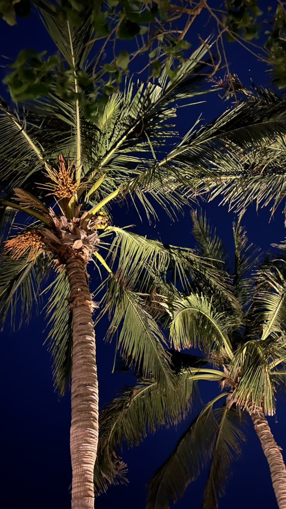 inavll's tweet image. جدّه القلب الكبير ❣️❣️❣️