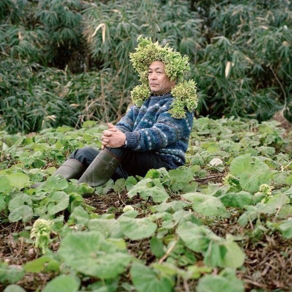 Just realised I can ignore emails. Ignore messages. I can simply choose not to respond. To anything. Ever again.