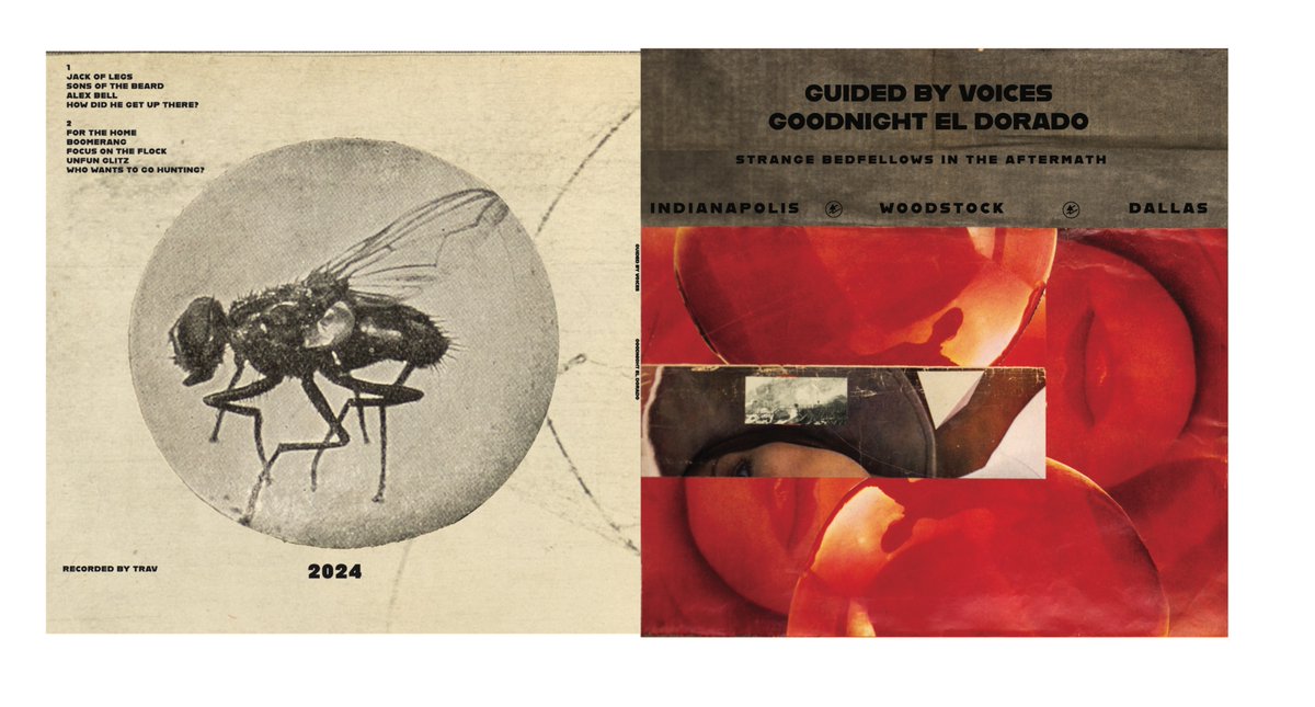 _GuidedByVoices's tweet image. UPDATE: Goodnight El Dorado is sold out on Rockathon, but copies are still available in stores! You can also get the album digitally on Bandcamp. Link is here! 

guidedbyvoices.bandcamp.com/album/goodnigh…