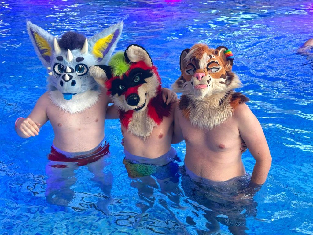 Enjoying this hot summer #FursuitFryday  in a pool with friens <a href="/StormyZomi/">Zomi</a> and Keng