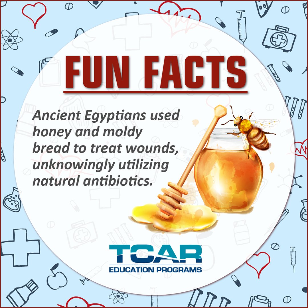 Checkout another fun fact. The ancient Egyptians use to use honey and moldy bread to treat wounds, unknowingly utilizing natural antibiotics.