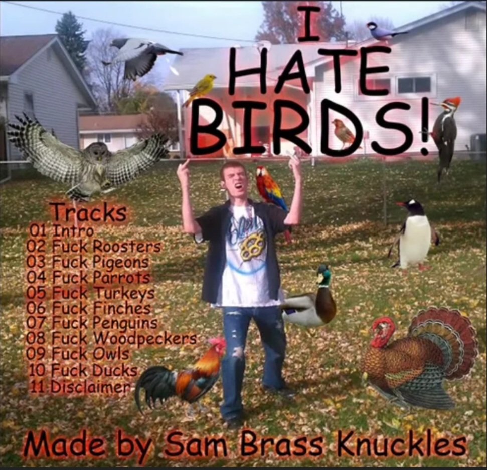 TheLoserOf08's tweet image. "Have you listened to the new Swans record??"
"You gotta check out the new Geese album!!"
IVE HAD ENOUGH