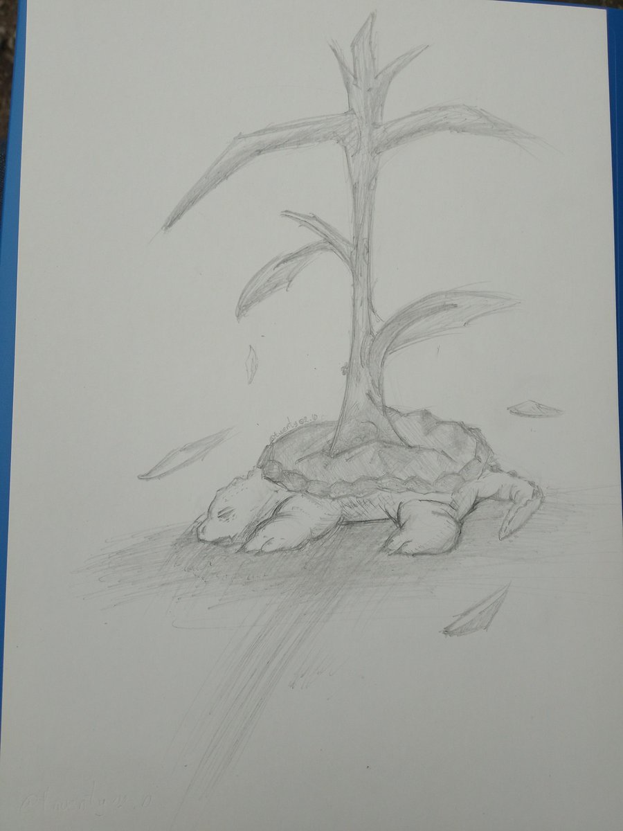 twenty02_0's tweet image. Espero haya tenido una buena vida la tortuga, en paz descanse 🫡
#art
#arte