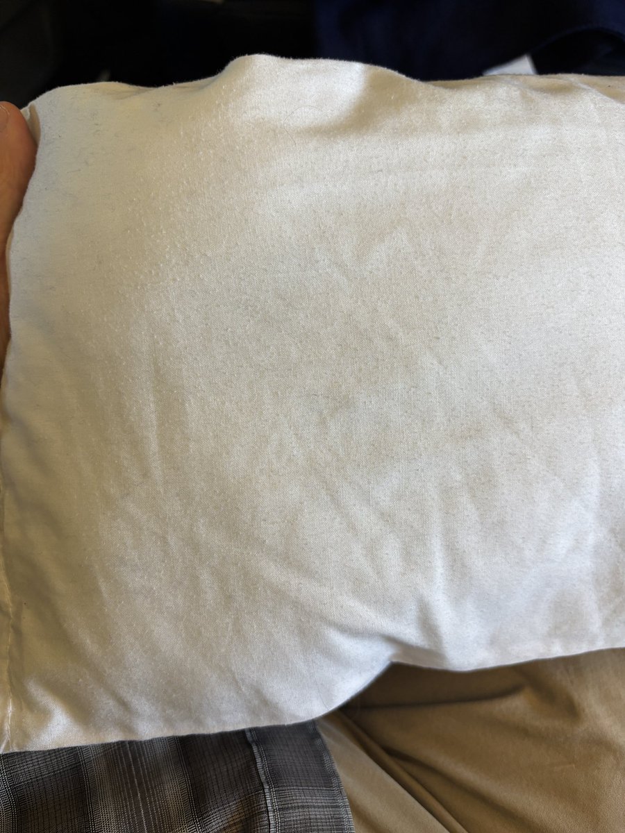 I’m flying <a href="/Aeromexico/">Aeroméxico</a> from TIJ to MEX today. This is the pillow they gave me. I don’t expect luxury, but is clean too much to expect? It’s wrinkled, faded and stained.